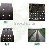 PE Agricultural Black Mulch Film With Different Holes thumbnail-2