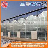 Factory Direct Sale Multi Span Agricultural Glass Greenhouse thumbnail-4