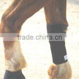 Horse Boots thumbnail-1