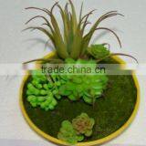 SJ0409032 Indoor Wall Hanging Mini Wall Art Decoration thumbnail-5