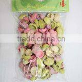 Natural Preserved Plant for Flower Decor thumbnail-1