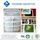 Goma Wakame thumbnail-1