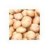 Sell Potato thumbnail-1