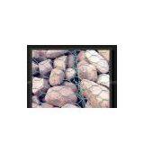 Gabion Mesh
