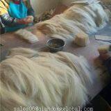 30-60mm Goat Hair thumbnail-4