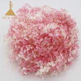 Grade a Small Leaf Preserved Hydrangea with More Than 40 Colors for Floral   home  decoration and events