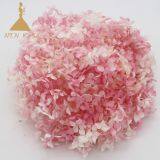 Grade a Small Leaf Preserved Hydrangea With More Than 40 Colors for Floral Home Decoration and Events