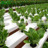 Agricultural Greenhouse Hydroponic Channels Set Hydroponic Growing Systems thumbnail-4