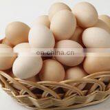 Cheap Boiled Egg Peeling Machine/quail Egg Peeling Machine/hard Boiled Egg Peeling Machine thumbnail-5