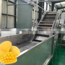Mango Juicer Production Line Machine Automatic Mango Juice Filling Production Line Machines thumbnail-5