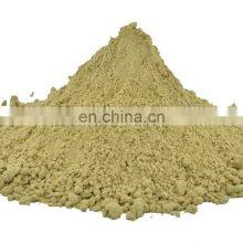 Organic Powder Bitter Melon/hot Sale Natural Organic/Manufacturer Supply High Quality Bitter Melon Extract Powder From Vietnam thumbnail-4