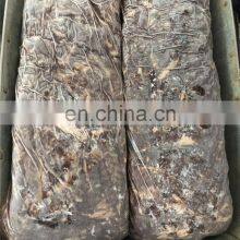 Frozen Precooked Bonito Skipjack Tuna Black Waste Meat Red Meat thumbnail-3