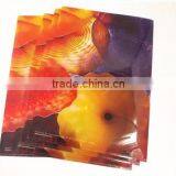 Manila Folder Type and Folder Shape a4 Sleeve Folder