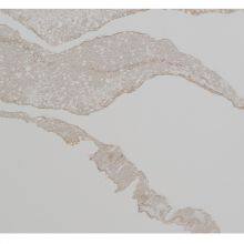 Code：7289，Calacatta Artificial Stone Quartz Slab Kitchen Countertops thumbnail-2