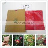 Hot Selling Apple Growing Paper Bag thumbnail-2