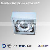 120W 150W 200W New Products Explosion-proof Induction Lamps