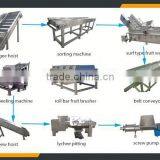 Leader Stainless Steel Litchi Pulp Making Line With CE & ISO thumbnail-5