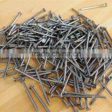 Electro Galvanized Common Wire Nail/common Iron Wire Nails/bright Common Nails Factory thumbnail-6