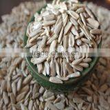 Cooking Oil of Sunflower Kernels thumbnail-3