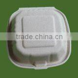 Biodegradable Tableware,sugar Cane Pulp Tableware,paper Box,bagasse Tableware thumbnail-1