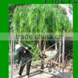 Artificial Weeping Willow Tree/high Simulation Willows