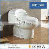 Sanitary innovative products toilet tank