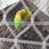 (factory)stainless Steel 316 Bird Aviary Netting