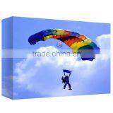 3D Canvas Printed Art Wall Art Decoration