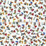 Hydro Graphic Printing Film WIDTH Cartoon Pattern 50CM GY304