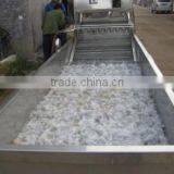 Cheery Tomato Washing and Grading Line