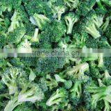 Frozen Fruit and Vegetable, Frozen Broccoli thumbnail-1