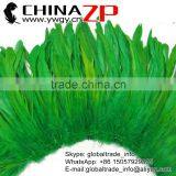 CHINAZP Bulk Sale Exporting Hot Selling Dyed Green Bleached Coque Tails Feathers