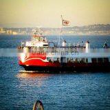 Sea Shipping Xiamen/fuzhou/ningbo/guangzhou/shenzhen/fuzhou to Odense thumbnail-2