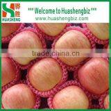 Fresh Fuji Apple Selling in China (Varieties: Fuji, Huaniu, Gala, Golden,qinguan, Red Star) thumbnail-2