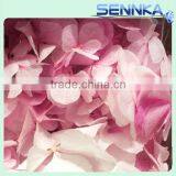 Natural Processing Fadeless Flower European Snowball Preserved Hydrangeas thumbnail-2