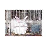 Metal Rabbit Cage