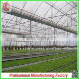 Hot Sale Multi-span Plastic 9.6m PE Plastic Film Agriculture Greenhouse for Garden thumbnail-3