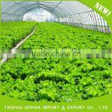 2016 Brand New Design pe Laminated Film Greenhouse thumbnail-5