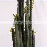 SJ3001015 Hot Artificial Cactus Plant Plastic Cactus Craft Plant/indoor Decorative Cactus thumbnail-3