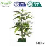 China, Guangdong Artificial Decor Bonsai for Sale thumbnail-4