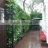 Vertical Garden Wall thumbnail-1