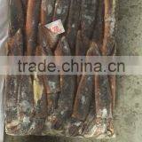Sea Frozen Squid of Illex Squid thumbnail-1
