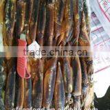 Block of Illex Squid thumbnail-1