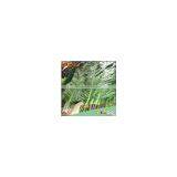 Best Selling Products Large Outdoor Artificial Palm Trees Tropical Plants Life Size Artificial Trees thumbnail-5