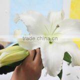 2016 Hot Sale Decorative White Spray Head Lily FlowerWedding Table Centerpieces Flower Wholesale Flower From Yunnan thumbnail-5