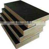 Timber-film Faced Plywood thumbnail-1