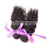 Mongolian Kinky Curly Hair Extension for Black Women 4c Afro Kinky Curly Human Hair Weave thumbnail-4
