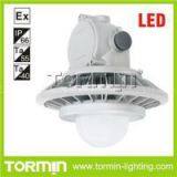 China High Bay Pole-mounted Lighting Fixture Supplier LED Explosion Proof Hazard Light thumbnail-1