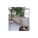 Artificial Indoor Plants thumbnail-1