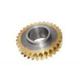 Composite Worm Gear thumbnail-1